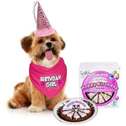 JT PET Dog Birthday Girl Party Dog Birthday Cake Pack with Bandana, Star Spangled Party Hat with Adjustable Elastic, Tassels and Feathery Trim, and Vegan Birthday Pie