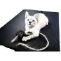 Feline Yogi Cat Yoga Mat with Cat Toy. Cat Scratcher, Bed, Activity Play Mat with Catnip Toy. Feline Yogi Cat Yoga Mat with Cat Toy. Cat Scratcher, Bed, Activity Play Mat with Catnip Toy.