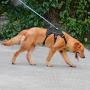 PETLOFT Big Dog Harness, Soft Texture Adjustable No Pull Dog Harness with Stainless Steel Rings, Adjustable Outdoor Training for Dogs Reflective Vest Harness, Easy Control for Small Medium Large Dogs