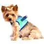 American River Choke-Free Dog Harness - Northern Lights Ombre
