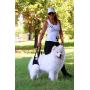 Pfaff Medical Dog Rear Carrier/Lifting Harness Blue (XL Blue)