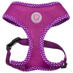 Pinkaholic New York Niki Harness - Purple - XS