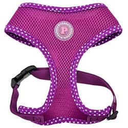 Pinkaholic New York Niki Harness - Purple - XS