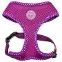 Pinkaholic New York Niki Harness - Purple - XS Pinkaholic New York Niki Harness - Purple - XS