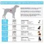Pawtitas Multicolor Step in Dog Harness or Vest Harness Training of Your Puppy Harness
