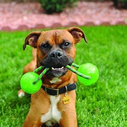 KONG Squeezz Ball with Handle for Dogs