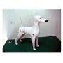 Dog Model, Dog Mannequin + Dog Wig for Scissoring Practice for Dog Groomers