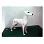 Dog Model, Dog Mannequin + Dog Wig for Scissoring Practice for Dog Groomers Dog Model, Dog Mannequin + Dog Wig for Scissoring Practice for Dog Groomers