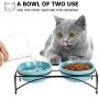 Y YHY Cat Food Bowls, Raised Cat Bowls for Food and Water, Ceramic Cat Bowls Elevated, Cat Dishes for Cat or Small Dogs,12 Ounces, Cute Cat Design, Dishwasher Safe