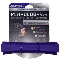 Playology Silver All-Natural Scented Dental Chew Stick