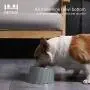 Dog Bowls Stainless Steel Cat Bowls and Water Food Feeder with Non Spill Skid Resistant 15° Slanted Bowl for Dog Puppy Cat and Kitten Dog Bowls Stainless Steel Cat Bowls and Water Food Feeder with Non Spill Skid Resistant 15° Slanted Bowl for Dog Puppy Cat and Kitten