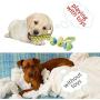 Pet Dogs Cotton Rope Chew Toys Interactive Tug of War Ball Toys for Puppies Teething Clean Aggressive Chewers 3 in 1 Set …