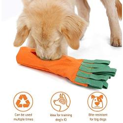 Hengu Carrot Bite-Resistant Dog Toy, Thick Oxford Cloth Cover for Plastic Bottle Self-Made Pet Toy with Sniffs Interactive Play Design, Perfect for Medium Big Dogs Chew Toy