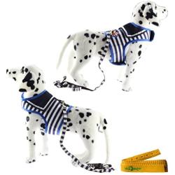 Wiz BBQT Dog Cat Puppy Pet Harness Vest and Leash Set for Walking Blue and White Navy Striped Sailor Anchor Style