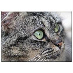 Triple Blank Wall Plate Cover - Cat Kitten Gata Feline Pet Animal Cat Face Grey