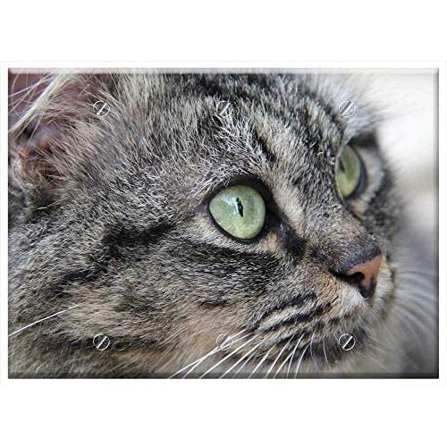 Triple Blank Wall Plate Cover - Cat Kitten Gata Feline Pet Animal Cat Face Grey