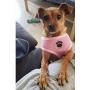 WONDERPUP Soft Mesh Dog Harness No Pull Walking Comfort Padded Vest Harnesses Adjustable