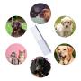 Pet Comb Stainless Steel Combing Tool for Dog and Cat Long Hair Comb Accessories