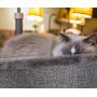 Cat Bed - Heart Pet Bed for Cats or Small Dogs, Ultra Soft Short Plush, Anti-Slip Bottom, Washable High Resilience PP Cotton, Comfortable Self Warming Autumn Winter Indoor Sleeping Cozy Kitty Teddy
