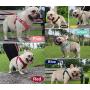 MSRVI Freedom No Pull Dog Harness and Leash Set - Suede Velvet Night Reflective Adjustable Dog Harnesses for Small Dogs Medium Dogs Large Dog Easy Walk Dog Harness Pink