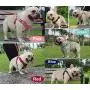 MSRVI Freedom No Pull Dog Harness and Leash Set - Suede Velvet Night Reflective Adjustable Dog Harnesses for Small Dogs Medium Dogs Large Dog Easy Walk Dog Harness Pink MSRVI Freedom No Pull Dog Harness and Leash Set - Suede Velvet Night Reflective Adjustable Dog Harnesses for Small Dogs Medium Dogs Large Dog Easy Walk Dog Harness Pink