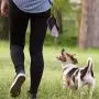 Dog Poop Bag Holder Leash Attachment,Poop bag dispenser with iron hook,for outdoors,waiking running and hiking(Black) Dog Poop Bag Holder Leash Attachment,Poop bag dispenser with iron hook,for outdoors,waiking running and hiking(Black)