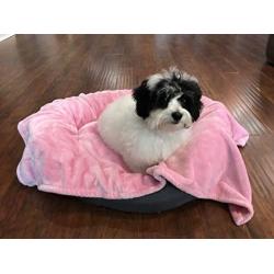 Higher Comfort Super Soft Premium Pet Blankets for Small Dogs, Puppies, Cats & Kittens - 30'' x 40'' - Great for Pet Beds and Carriers