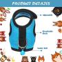 SATINIOR 2 Pieces Guinea Pig Harness and Leash Ferret Rats Hamster Soft Mesh Harness Leash Vest Set with Bell for Small Pet Rabbit Iguana Squirrel Chinchilla