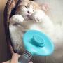RPGT Self Cleaning Grooming Brush Bendable without Dead Anglee Pet Shedding Grooming Tools 11cm Blue for Dog & Cat with Long or Short hair
