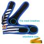 Wiz BBQT Dog Cat Puppy Pet Harness Vest and Leash Set for Walking Blue and White Navy Striped Sailor Anchor Style