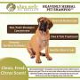 Wholistic Pet Organics Pet Shampoo Concentrate: Heavenly Herbal Organic Dog Shampoo and Conditioner - All Natural Puppy and Cat Shampoo for Dry, Itchy Skin, Allergies, Dandruff - Flea Shampoo - 16 Oz