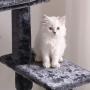 BEWISHOME Cat Tree Condo with Scratching Post Cat Tower Padded Plush Perch and Cozy Basket for Kitten MMJ11