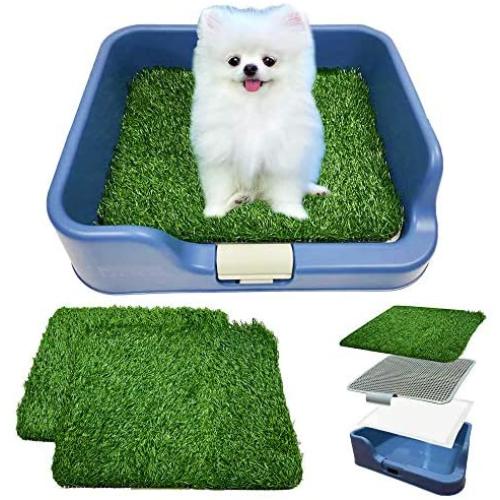 [DogCharge] Indoor Dog Potty Tray (Blue) with 2 Artificial Turf – with Protection Wall Every Side for No Leak, Spill, Accident - Keep Paws Dry and Floors Clean