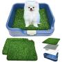 [DogCharge] Indoor Dog Potty Tray (Blue) with 2 Artificial Turf – with Protection Wall Every Side for No Leak, Spill, Accident - Keep Paws Dry and Floors Clean