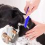 BENSEAO Flea Comb for Cats Dog Comb Lice Comb Metal Teeth Durable Tear Stain Dog Combs Remove Float Hair Combing Tangled Hair Dandruff Pet Comb Grooming Set 3 Pieces Add Storage Pouch (Blue)