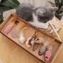 lvliangshirongyaomaoyiyouxiangongsi 1set Cat Toy Funny Cat Rod Mouse Toy Feather Molar Bite-Resistant Cat Supplies Cat Toy Self-Selling Suit Diverse Multi-Color 7 Piece Set One Week Gift Box Toy Set