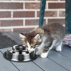 SunGrow Extra Large No Spill Feeding Bowl for Dogs and Cats, 14.3-inches Wide, 3.5-inches Deep, 11.4-inches in Diameter, Stainless Steel Vessel with Non-Slip Rubber Base