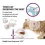 Rxan Cat Dog Bowls Elevated Tilted Raised Cat Food Water Bowl Dish Stress Free Backflow Protection