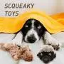 Sawpy Dog Squeaky Toys 5 Pack No Stuffing, Durable Interactive Toys for Chewers, Stuffless Plush Toys for Small/Medium/Large Dogs, Cute Soft Animal Teething Pet Toy for All Breed Sawpy Dog Squeaky Toys 5 Pack No Stuffing, Durable Interactive Toys for Chewers, Stuffless Plush Toys for Small/Medium/Large Dogs, Cute Soft Animal Teething Pet Toy for All Breed