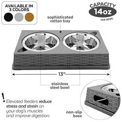Iconic Pet Colour Splash Designer Rattan Pet Double Diner (Set of 2)