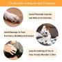 Dog Nail Clippers with LED Light, Cat Toenail Trimmer with Razor Sharp Blades for Small Medium Large Breed, Bird Puppy Kitten Nail Cutter with Nail File for Pet Claw Care Grooming Tool