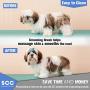 Premium Soft Self Cleaning Slicker Brush for Dogs & Cats. Dematting Brush Effectively and Effortlessly Shedding Mats, Removes Tangles, Dander, Dirt, Loose Fur by Up to 95% for Short or Long Hair.