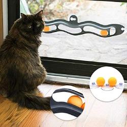 Dongdexiu Pet Supplies Pet Sucker Track Ball Toy Cat Interactive Toy Pet Toys