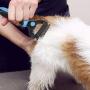 Umoonfine Dog Brush for Shedding, 2 Sided Pet Grooming Tool Undercoat Rake for Dogs & Cats, Large Extra Wide Pet Grooming Brush for Removing Shedding and Tangling, Without Pulling