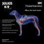 Julius-K9, IDC PowerHarness with Side Rings for Dogs