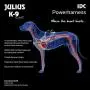 Julius-K9 IDC Powerharness, Dog Harness