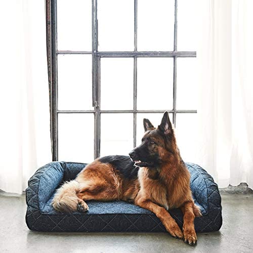 Brentwood Home Runyon Orthopedic Pet Bed, Puppy Dog Couch, Washable Cover, Waterproof Liner, Non-Toxic, Memory Foam Sofa for Dogs and Cats, Made in California