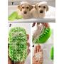 CUZYOU 2Pack Dog Grooming Brush Pet Comb Rubber Brush for Bath & Massage Cat Bath Brush with Fur Catching Screen Soft 4 Point Bristle Pets Bath Brush