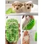 CUZYOU 2Pack Dog Grooming Brush Pet Comb Rubber Brush for Bath & Massage Cat Bath Brush with Fur Catching Screen Soft 4 Point Bristle Pets Bath Brush CUZYOU 2Pack Dog Grooming Brush Pet Comb Rubber Brush for Bath & Massage Cat Bath Brush with Fur Catching Screen Soft 4 Point Bristle Pets Bath Brush
