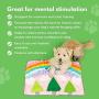 Pawzzle Mat - Explorer of the Rainbow Forest - Interactive Dog Feeding Snuffle Mat for Small Medium Large Dogs, Encourage Foraging Skills, Great for Nosework & Scent Training, Relieve Stress & Boredom